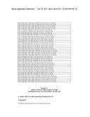 METHODS AND COMPOSITIONS TO PRODUCE ss-RNAi ACTIVITY WITH ENHANCED POTENCY diagram and image