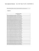 METHODS AND COMPOSITIONS TO PRODUCE ss-RNAi ACTIVITY WITH ENHANCED POTENCY diagram and image