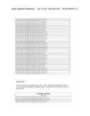 METHODS AND COMPOSITIONS TO PRODUCE ss-RNAi ACTIVITY WITH ENHANCED POTENCY diagram and image