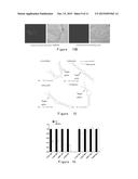 EXTRACTION, PREPARATION, AND APPLICATION OF PLANT MICRO-RIBONUCLEIC ACID diagram and image