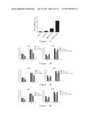 EXTRACTION, PREPARATION, AND APPLICATION OF PLANT MICRO-RIBONUCLEIC ACID diagram and image