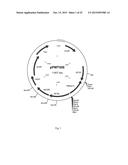 CELL SUITABLE FOR FERMENTATION OF A MIXED SUGAR COMPOSITION diagram and image