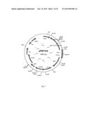 CELL SUITABLE FOR FERMENTATION OF A MIXED SUGAR COMPOSITION diagram and image