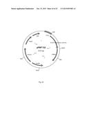 CELL SUITABLE FOR FERMENTATION OF A MIXED SUGAR COMPOSITION diagram and image