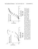 NUCLEIC ACID AMPLIFICATION AND USE THEREOF diagram and image