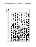 SHORT CYCLE METHODS FOR SEQUENCING POLYNUCLEOTIDES diagram and image