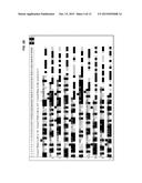 SHORT CYCLE METHODS FOR SEQUENCING POLYNUCLEOTIDES diagram and image