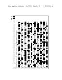 SHORT CYCLE METHODS FOR SEQUENCING POLYNUCLEOTIDES diagram and image