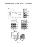 NATURAL-KILLER/T-CELL LYMPHOMA (NKTCL) SUSCEPTIBILITY PREDICTION,     DIAGNOSIS AND THERAPY diagram and image