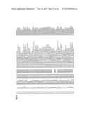 RECEPTOR GENE FOR PEPTIDE CANCER ANTIGEN-SPECIFIC T CELL diagram and image