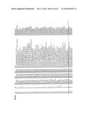 RECEPTOR GENE FOR PEPTIDE CANCER ANTIGEN-SPECIFIC T CELL diagram and image