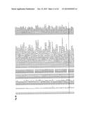 RECEPTOR GENE FOR PEPTIDE CANCER ANTIGEN-SPECIFIC T CELL diagram and image