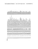 RECEPTOR GENE FOR PEPTIDE CANCER ANTIGEN-SPECIFIC T CELL diagram and image