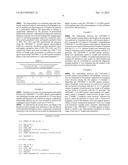 METHOD FOR DETERMINING LYMPH NODE METASTASIS IN CANCER OR RISK THEREOF AND     RAPID DETERMINATION KIT FOR THE SAME diagram and image