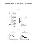 DEVELOPMENT OF SIMPLE DISCRIMINATION METHOD FOR LOW-QUALITY ES CELLS AND     iPS CELLS AS INDICATOR OF BIOLOGICAL CLOCK, AND DEVELOPMENT OF CELL     EVALUATION METHOD AS INDICATOR OF BIOLOGICAL CLOCK diagram and image