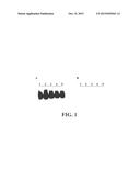 NUCLEIC ACID SEQUENCES THAT CAN BE USED AS PRIMERS AND PROBES IN THE     AMPLIFICATION AND DETECTION OF ALL SUBTYPES OF HIV-1 diagram and image