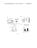 ALTERNATIVE USES FOR HBV ASSEMBLY EFFECTORS diagram and image