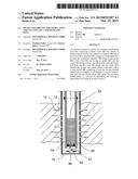 DEVICE AND PROCESS FOR STIMULATION AND CLEANING OF A LIQUID-FILLED WELL diagram and image