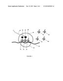 SYSTEMS AND METHODS FOR MEASURING TRANSLATION OF TARGET PROTEINS IN CELLS diagram and image