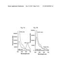 SYSTEMS AND METHODS FOR MEASURING TRANSLATION OF TARGET PROTEINS IN CELLS diagram and image