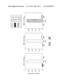 ACCURATE AND INTERFERENCE-FREE MULTIPLEXED QUANTITATIVE PROTEOMICS USING     MASS SPECTROMETRY diagram and image