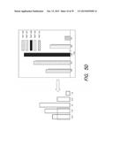 ACCURATE AND INTERFERENCE-FREE MULTIPLEXED QUANTITATIVE PROTEOMICS USING     MASS SPECTROMETRY diagram and image