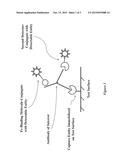 SIGNAL AMPLIFICATION IN LATERAL FLOW AND RELATED IMMUNOASSAYS diagram and image