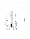 SIGNAL AMPLIFICATION IN LATERAL FLOW AND RELATED IMMUNOASSAYS diagram and image