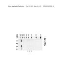 EXTRACELLULAR MATRIX PROTEINS FROM HAEMOPHILUS INFLUENZAE BIOFILMS:     TARGETS FOR THERAPEUTIC OR DIAGNOSTIC USE diagram and image