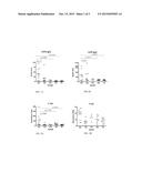 VITRO ASSAYS FOR DETECTING SALMONELLA ENTERICA SEROTYPE TYPHI diagram and image