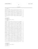 VITRO ASSAYS FOR DETECTING SALMONELLA ENTERICA SEROTYPE TYPHI diagram and image