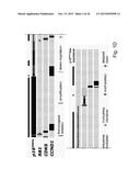 METHODS FOR HEAD AND NECK CANCER PROGNOSIS diagram and image