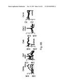 METHODS FOR HEAD AND NECK CANCER PROGNOSIS diagram and image