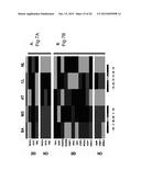 METHODS FOR HEAD AND NECK CANCER PROGNOSIS diagram and image