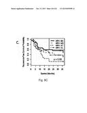 METHODS FOR HEAD AND NECK CANCER PROGNOSIS diagram and image