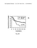 METHODS FOR HEAD AND NECK CANCER PROGNOSIS diagram and image