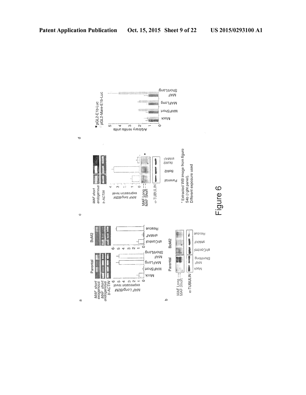 METHOD FOR THE PROGNOSIS AND TREATMENT OF CANCER METASTASIS - diagram, schematic, and image 10