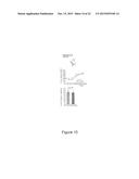 METHOD FOR THE PROGNOSIS AND TREATMENT OF CANCER METASTASIS diagram and image