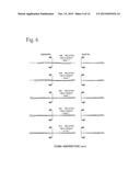 PROJECTION OPTICAL SYSTEM AND PROJECTOR APPARATUS diagram and image