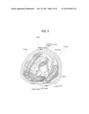 BRAIN ACTIVITY TRAINING APPARATUS AND BRAIN ACTIVITY TRAINING SYSTEM diagram and image