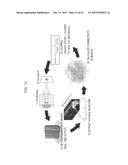 BRAIN ACTIVITY TRAINING APPARATUS AND BRAIN ACTIVITY TRAINING SYSTEM diagram and image