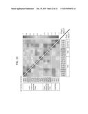 BRAIN ACTIVITY TRAINING APPARATUS AND BRAIN ACTIVITY TRAINING SYSTEM diagram and image