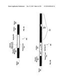 Mechanically Programmable RFID diagram and image