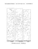 REFRACTORY METAL PLATES diagram and image