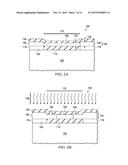 LOCALIZED REGION OF ISOLATED SILICON OVER DIELECTRIC MESA diagram and image