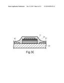 LUMINESCENT DEVICE AND MANUFACTURING METHOD FOR LUMINESCENT DEVICE AND     SEMICONDUCTOR DEVICE diagram and image