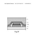 LUMINESCENT DEVICE AND MANUFACTURING METHOD FOR LUMINESCENT DEVICE AND     SEMICONDUCTOR DEVICE diagram and image