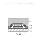 LUMINESCENT DEVICE AND MANUFACTURING METHOD FOR LUMINESCENT DEVICE AND     SEMICONDUCTOR DEVICE diagram and image