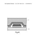 LUMINESCENT DEVICE AND MANUFACTURING METHOD FOR LUMINESCENT DEVICE AND     SEMICONDUCTOR DEVICE diagram and image