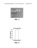 TISSUE MARKERS AND USES THEREOF diagram and image